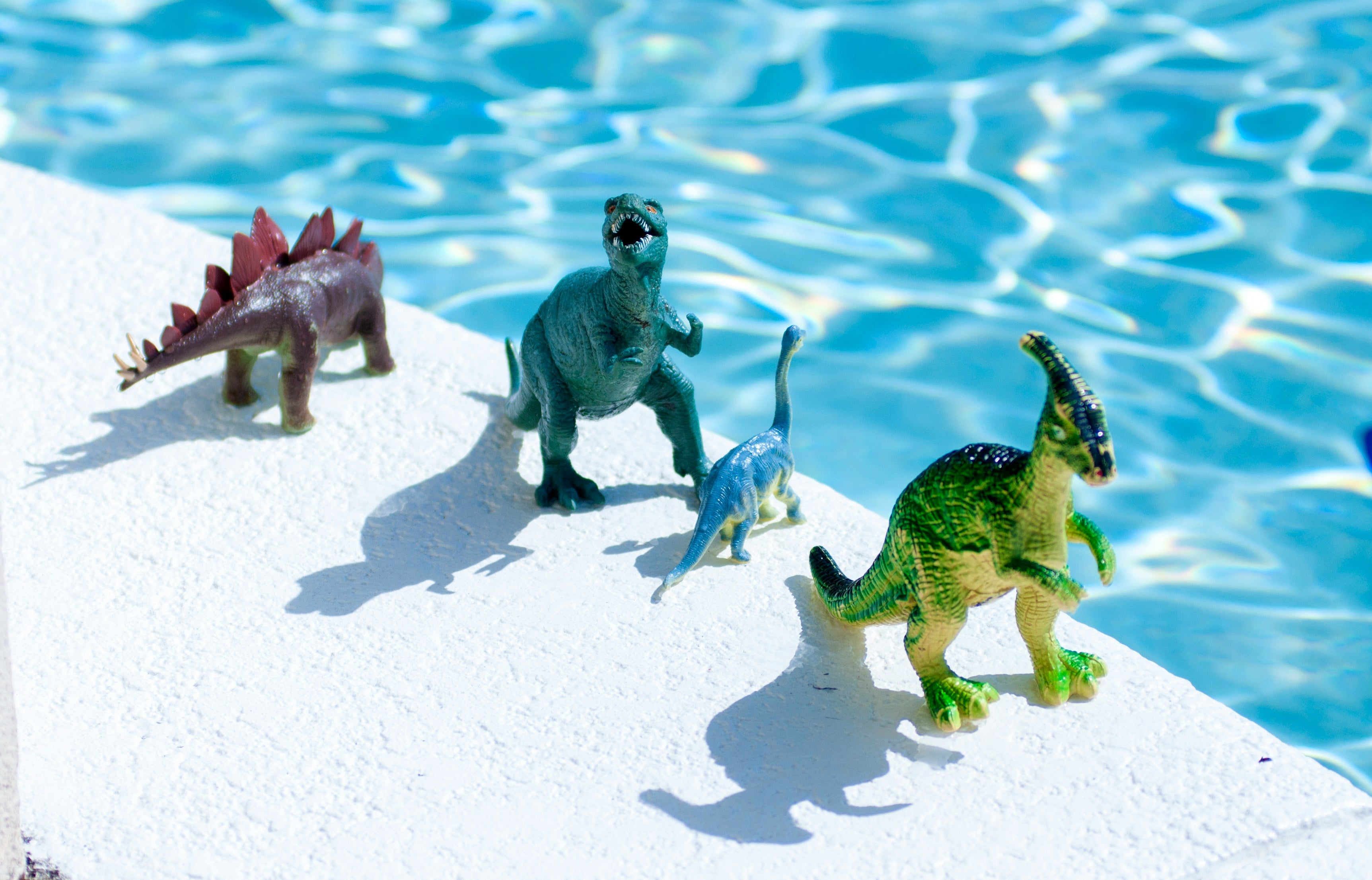 Four toy dinosaurs on a pool edge with water in the background